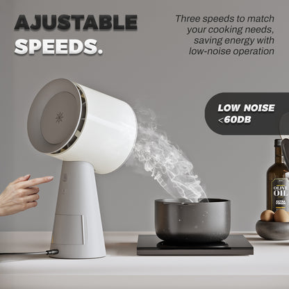 Portable Range Hood